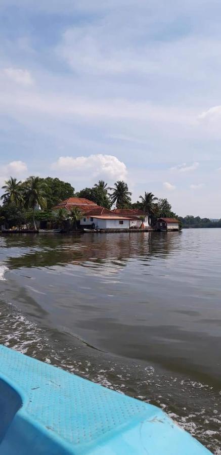 Rashmi Homestay Balapitiya Ngoại thất bức ảnh